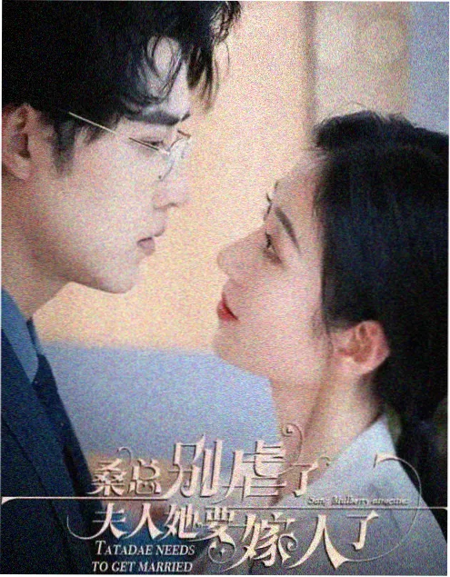 蜜桃视频在线播放热播剧集旧楼灯火海报